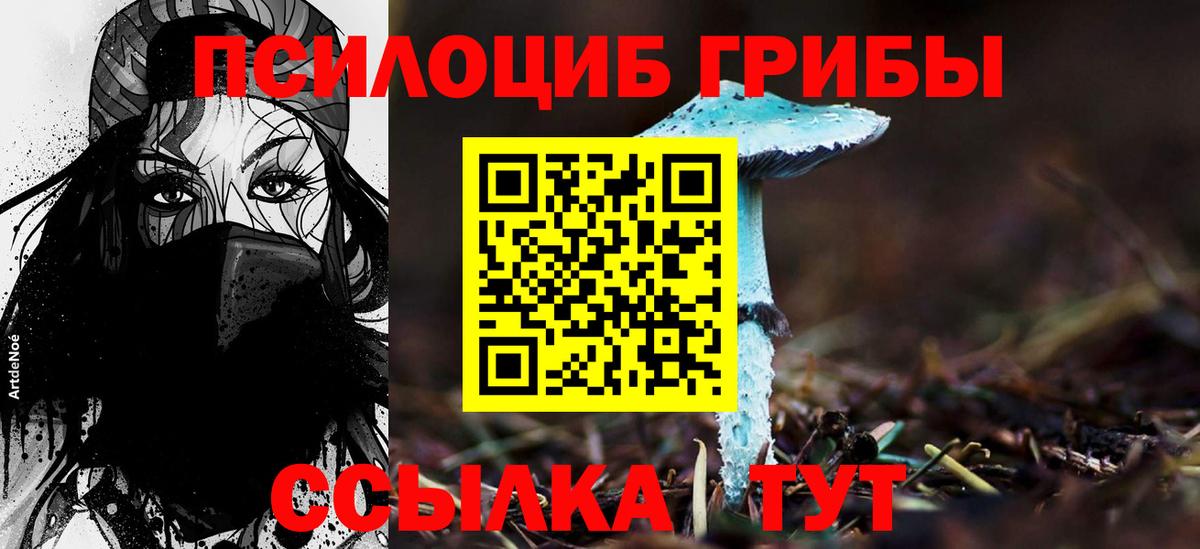 Псилоцибиновые грибы Magic Shrooms Советская Гавань